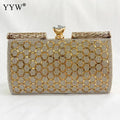 Women's Elegant Chain-Strap Evening Clutch